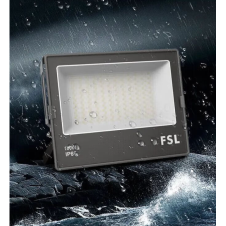 PROIECTOR FSL 100W CU LED 6500K LUMINA RECE IP66