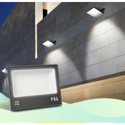 PROIECTOR FSL 100W CU LED 6500K LUMINA RECE IP66