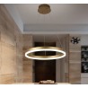 Lustra LED D60CM Minimalist Ring cu Telecomanda wifi 2.4G Gold lumina/rece/calda/neutra intensitate reglabila