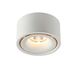 Spot LED Alb 12W 4000K D10CM